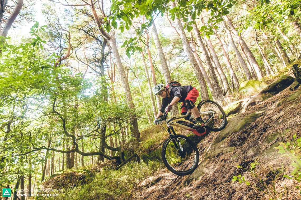 When it comes to pointing its nose downhill, the Haibike model was the most agile of all the bikes we tested, and it took very little effort to steer it.